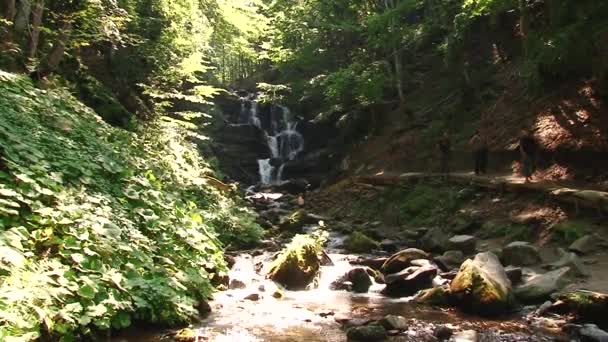 山区河流水流淌在石头上。森林。飞溅. — 图库视频影像