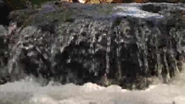 L'eau de la rivière Mountain coule sur les pierres. Forest. Éclaboussures . — Video