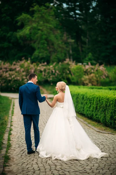 Os recém-casados estão andando no parque no dia do casamento. A noiva e o noivo Desfrutando no dia do casamento. Tempo ensolarado. Primavera . — Fotografia de Stock