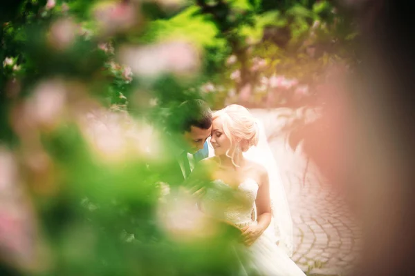 Az ifjú séta a parkban az esküvő napján. A menyasszony és a vőlegény örvendő: az esküvő napján. Napos idő. Tavaszi. — Stock Fotó