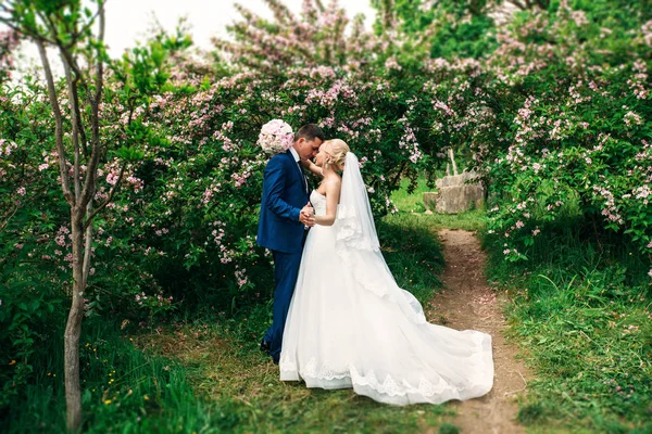 Das Brautpaar spaziert am Hochzeitstag durch den Park. Braut und Bräutigam beim Hochzeitstag. sonniges Wetter. Frühling. — Stockfoto