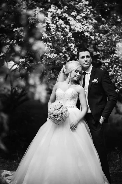 Os recém-casados estão andando no parque no dia do casamento. A noiva e o noivo Desfrutando no dia do casamento. Tempo ensolarado. Primavera . — Fotografia de Stock