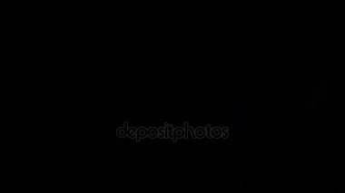 Disko ışık gösterisi. Renkli fenerler Böke.