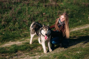 Bir kız ile bir köpek set boyunca yürüyor. Güzel Husky köpek. Nehir. Bahar.