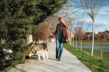 Bir kız ile bir köpek set boyunca yürüyor. Güzel Husky köpek. Nehir. Bahar.