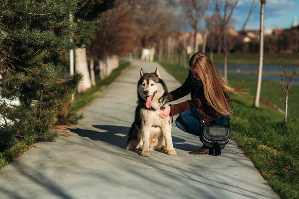 Bir kız ile bir köpek set boyunca yürüyor. Güzel Husky köpek. Nehir. Bahar.