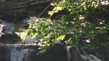 Dağ nehir taşları üzerine akan su. Orman. Sıçramak.