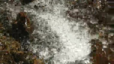 Dağ nehir taşları üzerine akan su. Orman. Sıçramak.