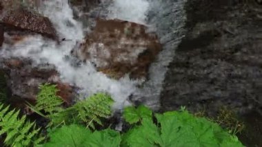 Dağ nehir taşları üzerine akan su. Orman. Sıçramak.