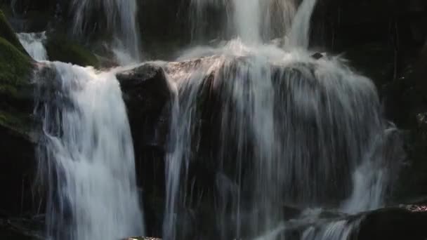 Ορεινό ποτάμι νερού που ρέει στις πέτρες. Δάσος. Πιτσιλίσματα. — Αρχείο Βίντεο