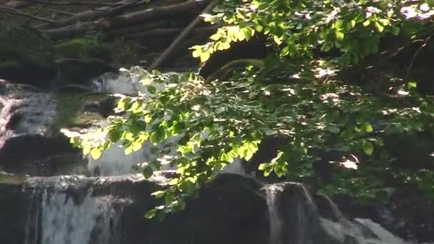 L'eau de la rivière Mountain coule sur les pierres. Forest. Éclaboussures .