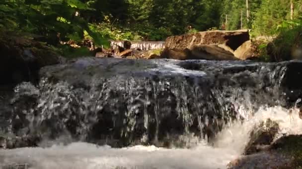 Ορεινό ποτάμι νερού που ρέει στις πέτρες. Δάσος. Πιτσιλίσματα. — Αρχείο Βίντεο