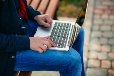 Parkta bir dizüstü bilgisayar üzerinde çalışan genç Yöneticisi. Öğle yemeği molası.