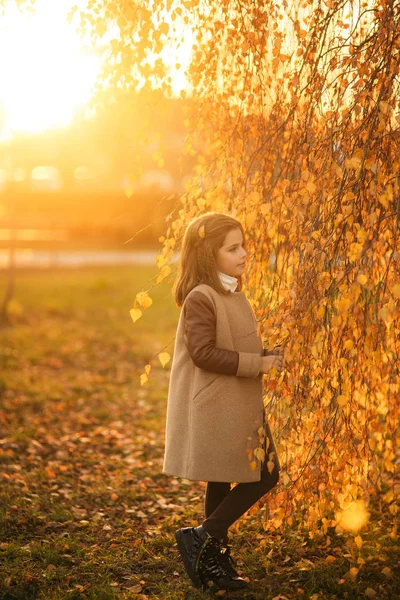 Bambina in cappotto autunno in posa per il fotografo. Autunno d'oro . — Foto Stock