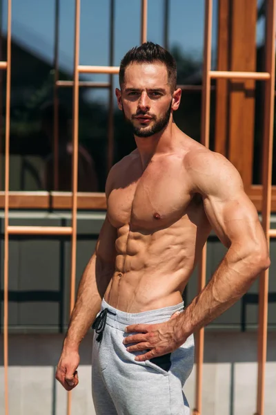 Young athlete posing with a torso for photography on a brick wall background. Bodybuilder, athlete with pumped muscles.