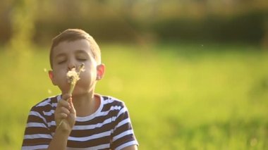 Salıncakta sallanmak, çizgili tişört içinde küçük bir çocuk oyun oynuyor. Bahar.