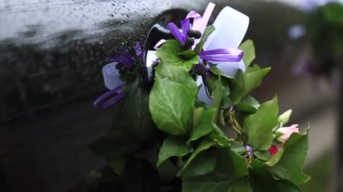 Cesur damat düğün elbisesi Giydir. Elinde bir buket tutar. Düğün günü.