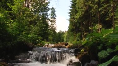 Dağ nehir taşları üzerine akan su. Orman. Sıçramak.