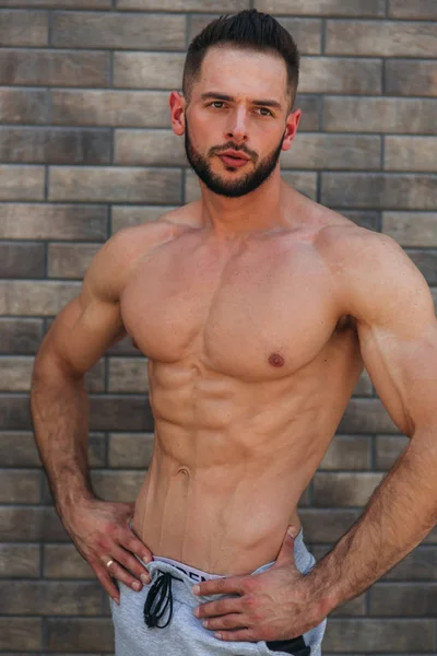 Young athlete posing with a torso for photography on a brick wall background. Bodybuilder, athlete with pumped muscles, breast and arm rescue