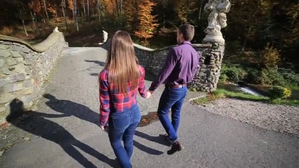 Ένα ζευγάρι ερωτευμένων βόλτες το φθινόπωρο στο πάρκο. Μια ιστορία αγάπης σε μια ηλιόλουστη φθινοπωρινή μέρα. — Αρχείο Βίντεο