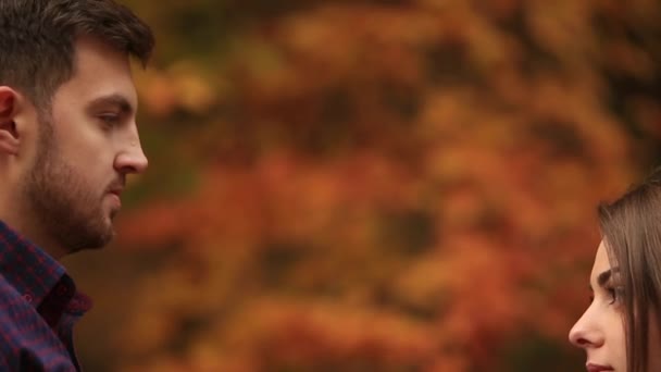 Una pareja amorosa camina en el otoño en el parque. Una historia de amor en un día soleado de otoño. lago y bringe  . — Vídeo de stock