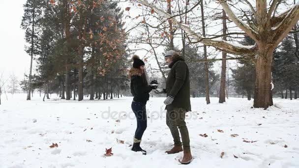 Liebespaar spielt bei märchenhaftem Winterwetter Schneebälle — Stockvideo