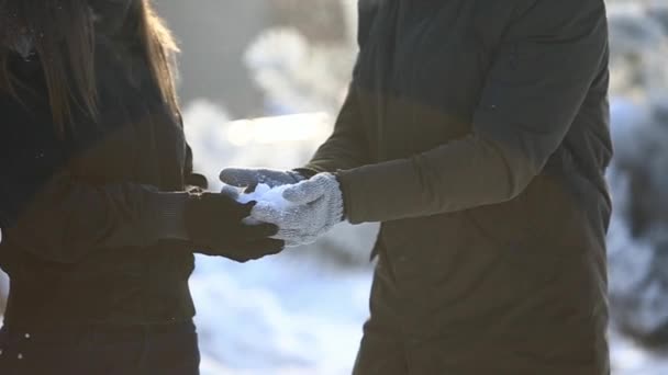 Щаслива пара грайливо разом під час зимових канікул покликання на вулиці в сніговому парку — стокове відео