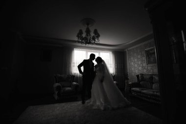 damat ve gelin silüeti