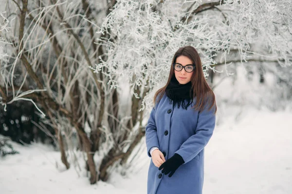 Красива щаслива молода жінка з чорними окулярами в зимовому пальто кольору Синій кобальт і чорний шарф вкритий сніговими пластівцями — стокове фото