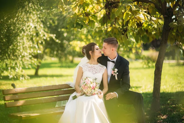 Una giovane coppia in abiti da sposa è seduta su una panchina in un parco. Tempo soleggiato — Foto Stock