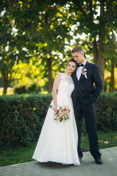 Vackra nygifta promenader i parken beundra varandras — Stockfoto