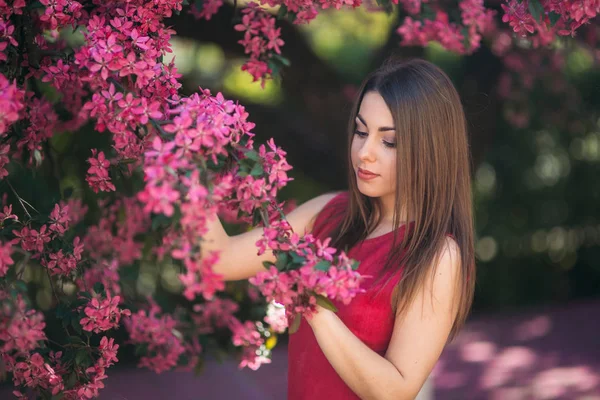 Gyönyörű lány pózol, hogy a fotós, a háttérben a virágzó rózsaszín fák. Tavaszi. Sakura — Stock Fotó