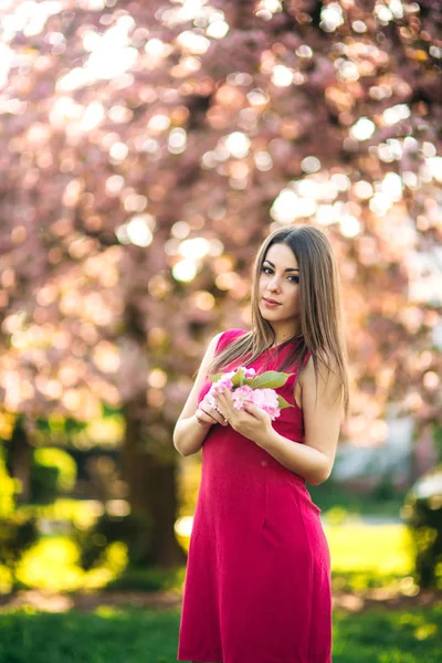 Красива дівчина позує з фотографом на тлі квітучих рожевих дерев. Весна. Сакура — стокове фото