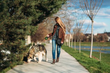 Bir kız ile bir köpek set boyunca yürüyor. Güzel husky köpek