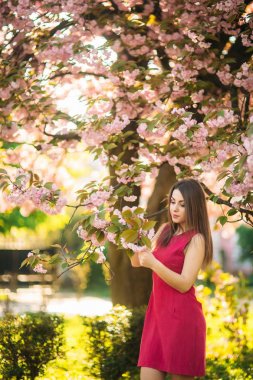 Genç kız bir fotoğraf için poz. Pembe çiçekli ağaçlar içinde belgili tanımlık geçmiş. Bahar. Sakura