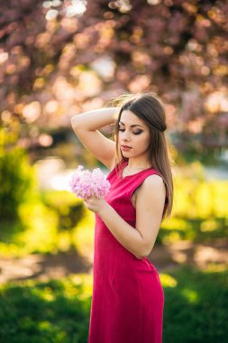 Güzel kız fotoğrafçı Pembe çiçek açan arka planı ağaçlar için poz. Bahar. Sakura