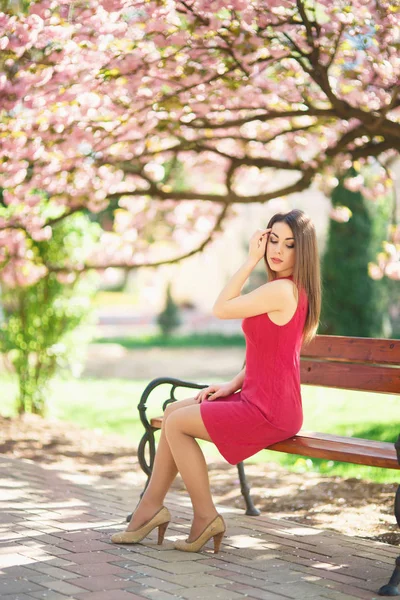 Mooi meisje zit op een bankje op een achtergrond van bloeiende roze bomen. Lente. Sakura — Stockfoto