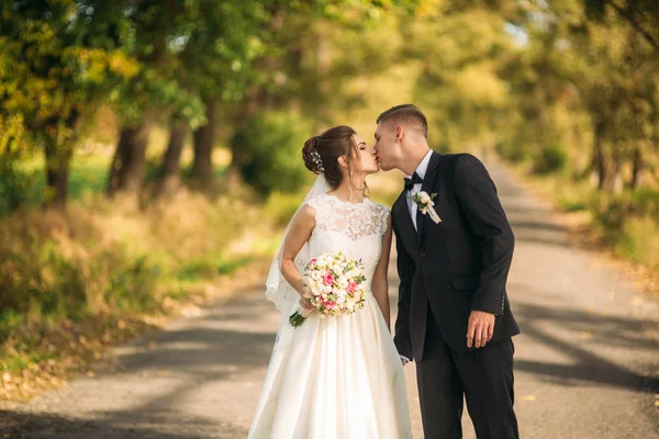 Bellissimi sposi che camminano nel parco ammirandosi e baciandosi — Foto Stock
