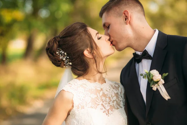 Schöne Brautpaare, die im Park spazieren gehen, einander bewundern und sich küssen — Stockfoto