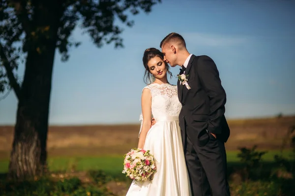 Svatební pár stojí na pozadí modré oblohy — Stock fotografie