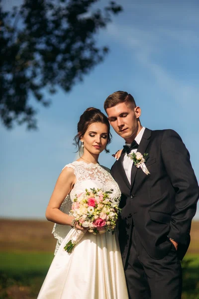 青い空を背景に立っている結婚式のカップル — ストック写真