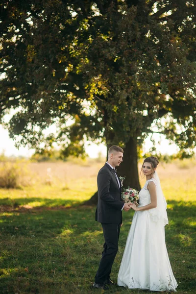 Stilvolles Brautpaar, das am Hochzeitstag mit Blumenstrauß auf dem Feld spaziert. Mitten auf dem Feld steht ein großer Baum — Stockfoto