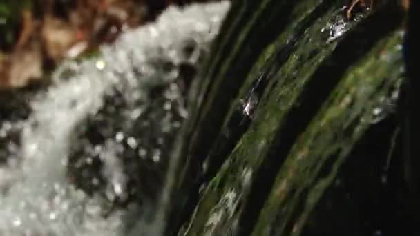 岩の間を流れるきれいな新鮮な山川を荒れ狂う — ストック動画