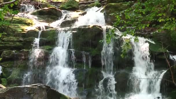 Raging Clean Fresh Mountain River Flowing Rocks — Stock Video