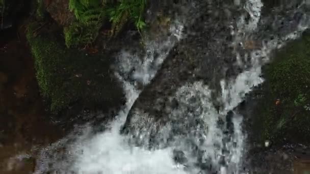 Belle Eau Dans Une Rivière Montagne — Video