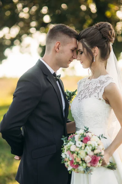 Casal elegante de recém-casados felizes andando em campo em seu dia de casamento com buquê. No meio do campo está uma grande árvore. — Fotografia de Stock