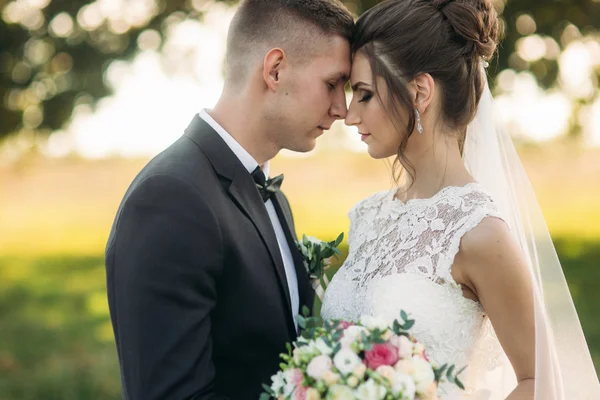 Elegante coppia di sposi felici che camminano sul campo il giorno del loro matrimonio con bouquet. In mezzo al campo c'è un grande albero — Foto Stock