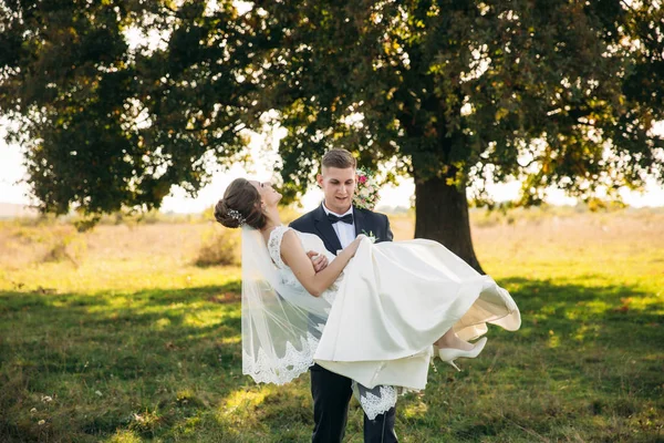 Groom prit la mariée dans ses bras et la porta au champ en arrière-plan du grand arbre. Groom embrasse mariée — Photo