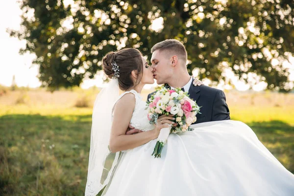 Groom pegou a noiva em seus braços e levou-a para o campo no fundo da árvore grande. noivo beijos noiva — Fotografia de Stock