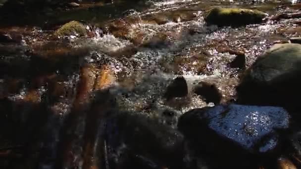 Schönes Wasser Einem Gebirgsfluss — Stockvideo